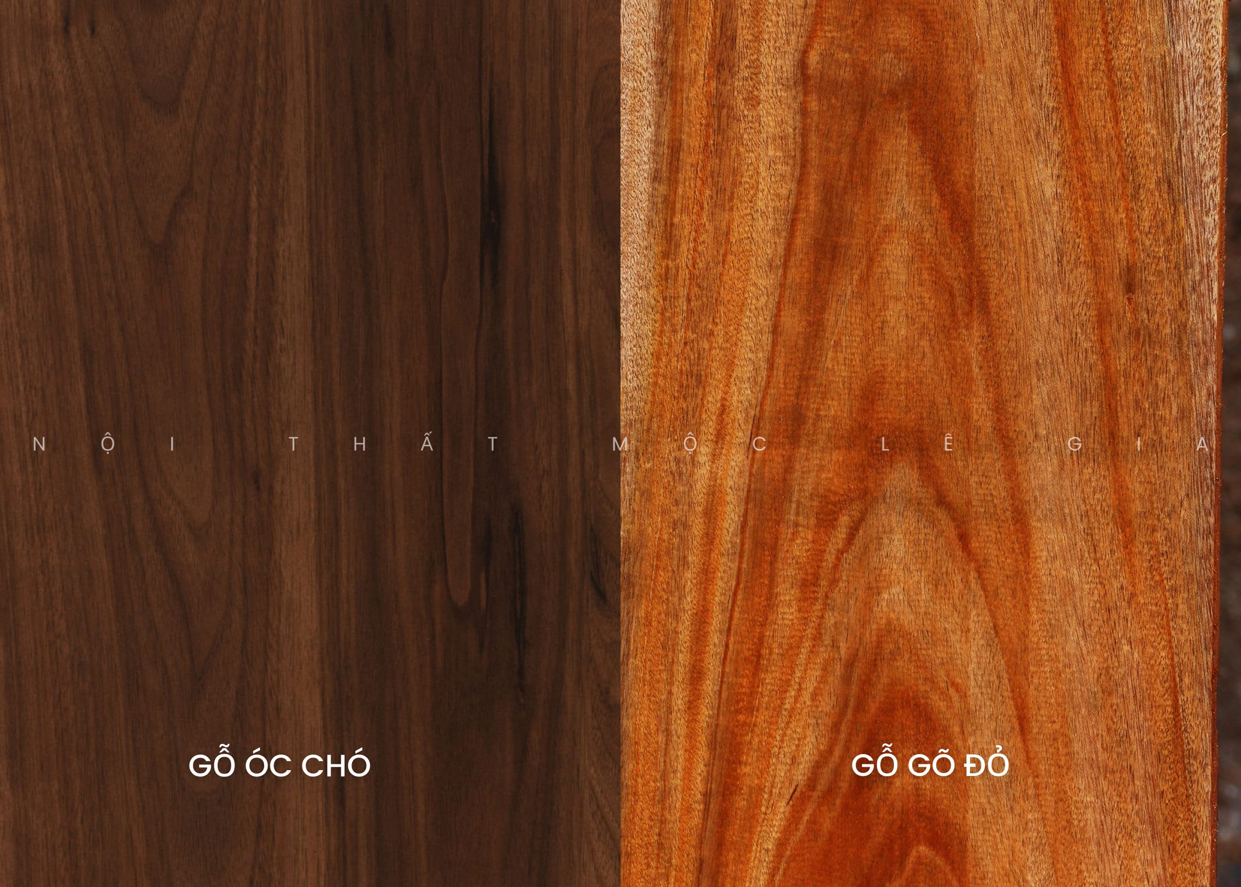 Lựa chọn loại gỗ để thiết kế thi công nội thất gỗ óc chó tại Nghệ An